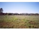 Curra Creek Road (Cumnock), Molong NSW 2866