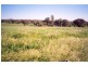 Curra Creek Road (Cumnock), Molong NSW 2866