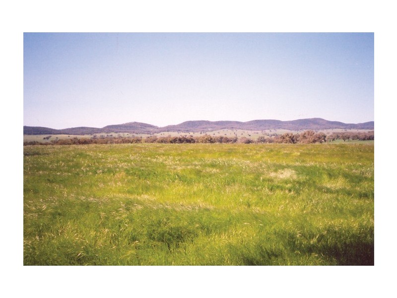 Curra Creek Road (Cumnock), Molong NSW 2866