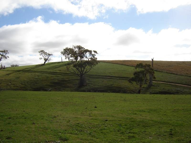 1572 Carcoar Road, Carcoar NSW 2791