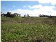 1288 Three Brothers Road, Hobbys Yards NSW 2795