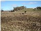 1288 Three Brothers Road, Hobbys Yards NSW 2795