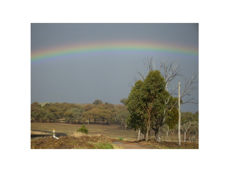 5091 Federation Way, Molong NSW 2866