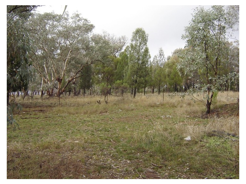 5091 Federation Way, Molong NSW 2866