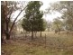 5091 Federation Way, Molong NSW 2866