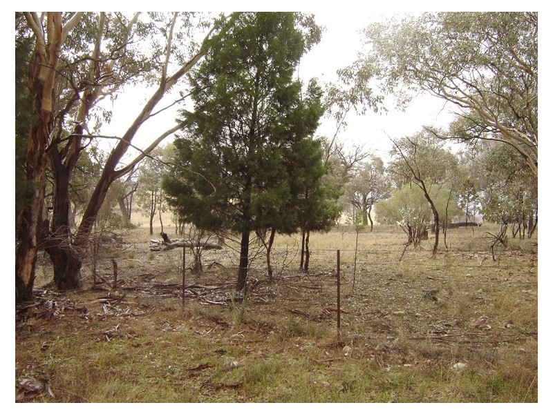 5091 Federation Way, Molong NSW 2866