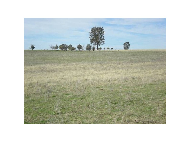 Burgoon Road (Molong), Orange NSW 2800