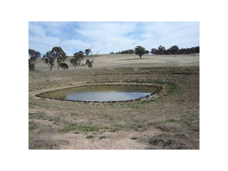 Burgoon Road (Molong), Orange NSW 2800