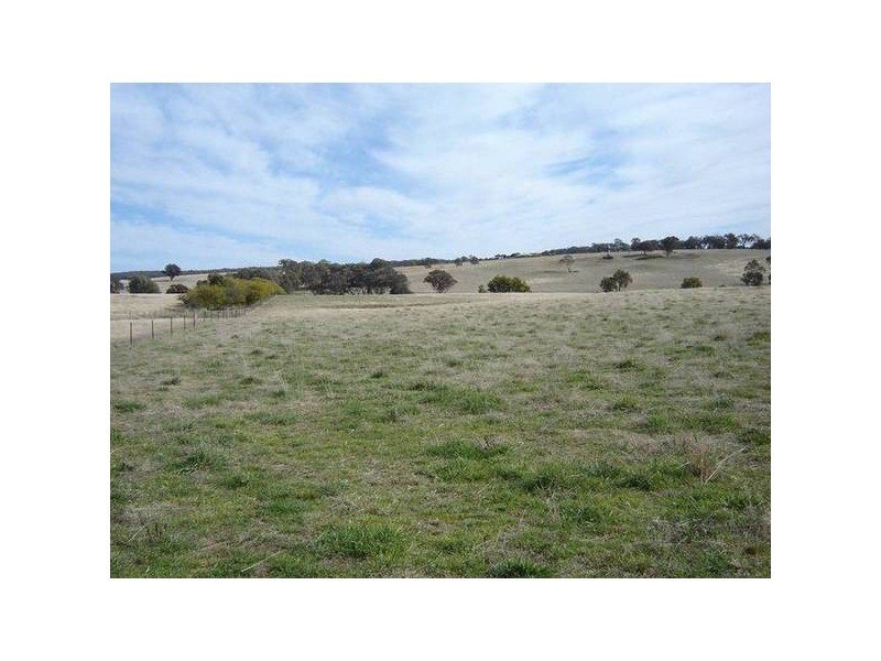 Burgoon Road (Molong), Orange NSW 2800