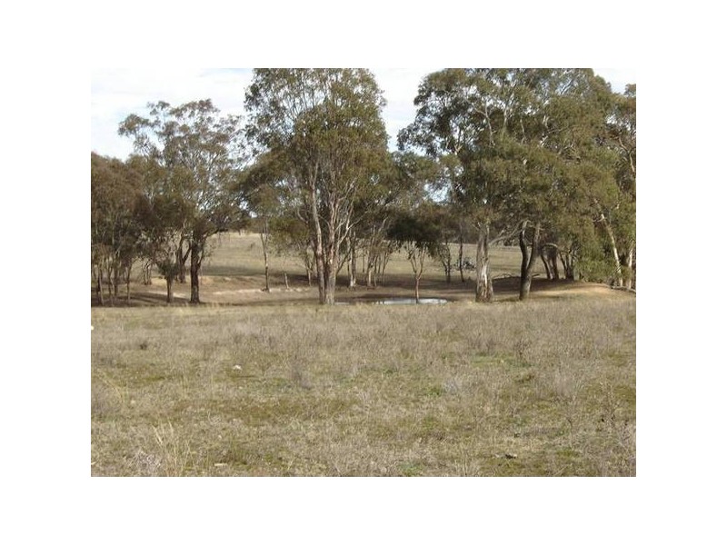 Burgoon Road (Molong), Orange NSW 2800
