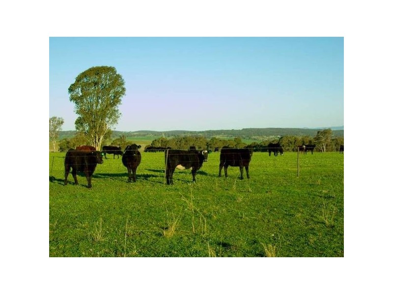 Burgoon Road (Molong), Orange NSW 2800