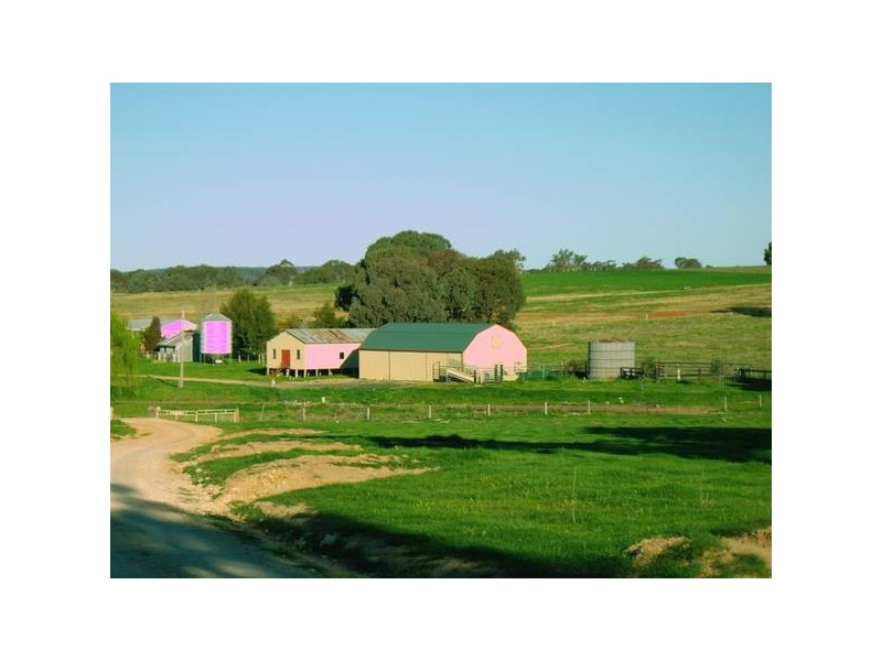 Burgoon Road (Molong), Orange NSW 2800
