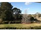 - Millthorpe Road, Orange NSW 2800