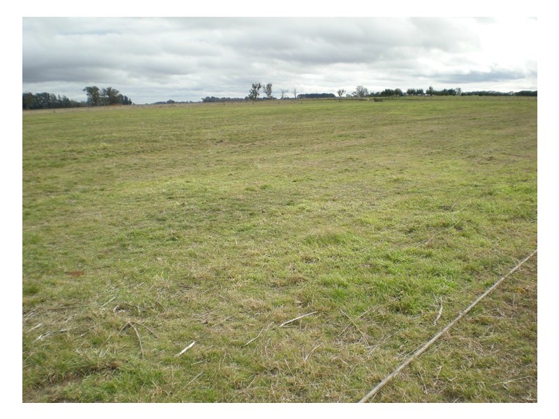 Spring Hill Road, Orange NSW 2800