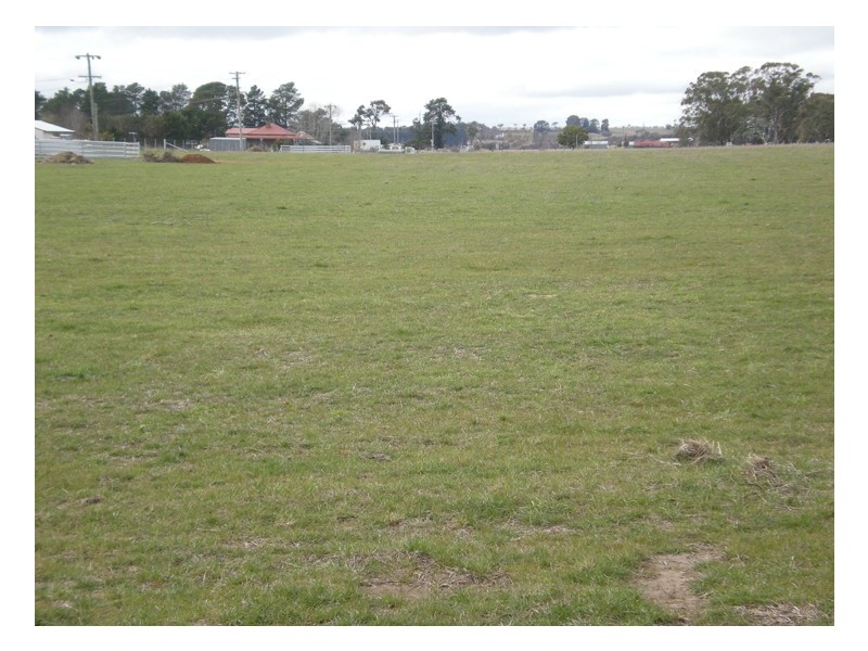Spring Hill Road, Orange NSW 2800