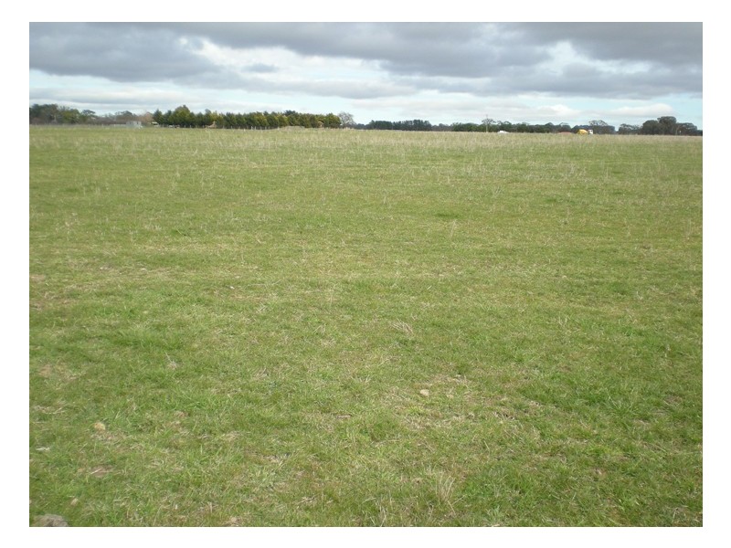 Spring Hill Road, Orange NSW 2800