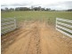 Spring Hill Road, Orange NSW 2800