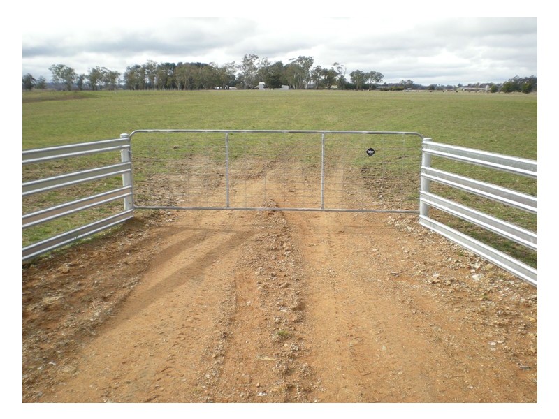 Spring Hill Road, Orange NSW 2800