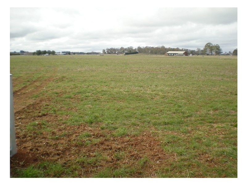 Spring Hill Road, Orange NSW 2800