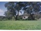Larras Lee, Molong NSW 2866