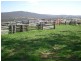 Ophir Road, Orange NSW 2800