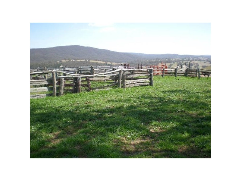 Ophir Road, Orange NSW 2800