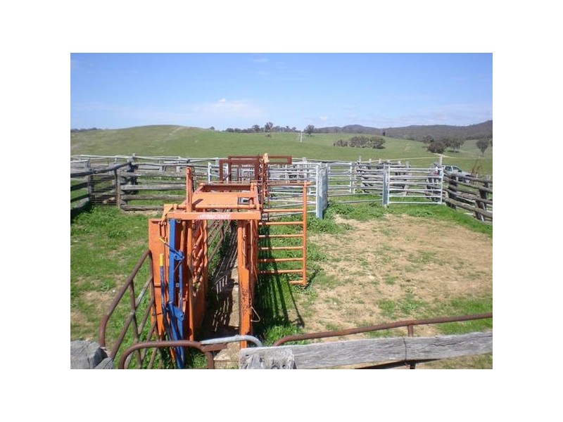 Ophir Road, Orange NSW 2800