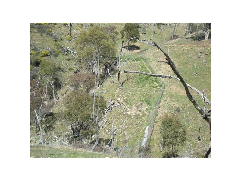 Ophir Road, Orange NSW 2800