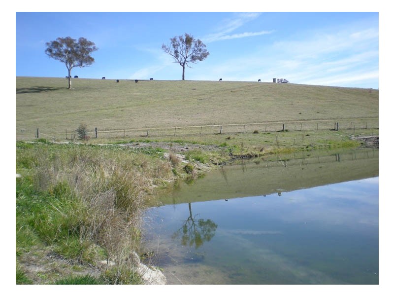 2137 Ophir Road (Rock Forest), Orange NSW 2800