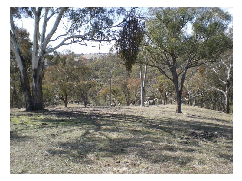 2137 Ophir Road (Rock Forest), Orange NSW 2800