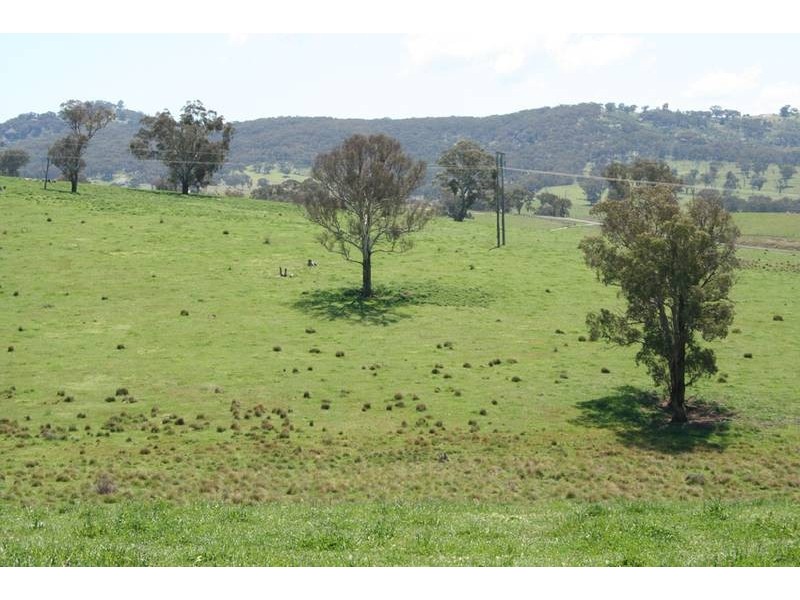 2137 Ophir Road (Rock Forest), Orange NSW 2800