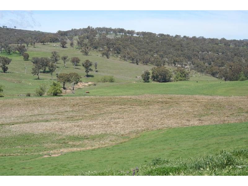 2137 Ophir Road (Rock Forest), Orange NSW 2800