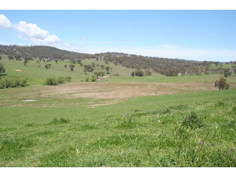 2137 Ophir Road (Rock Forest), Orange NSW 2800