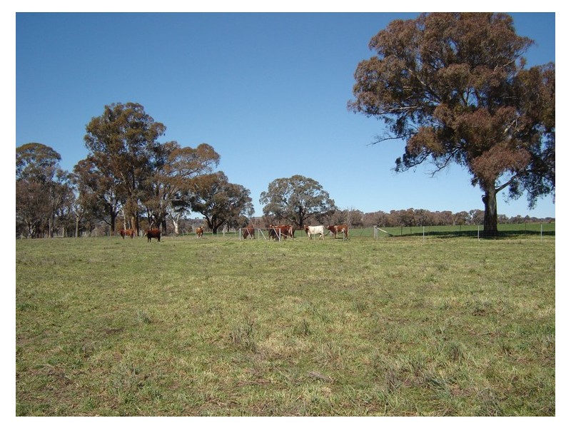 621 Mount McDonald Road (Lyndhurst), Lyndhurst NSW 2797