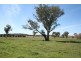 Lot 4 Part Buckinbah, Beaumah Road (Spring Hill), Orange NSW 2800