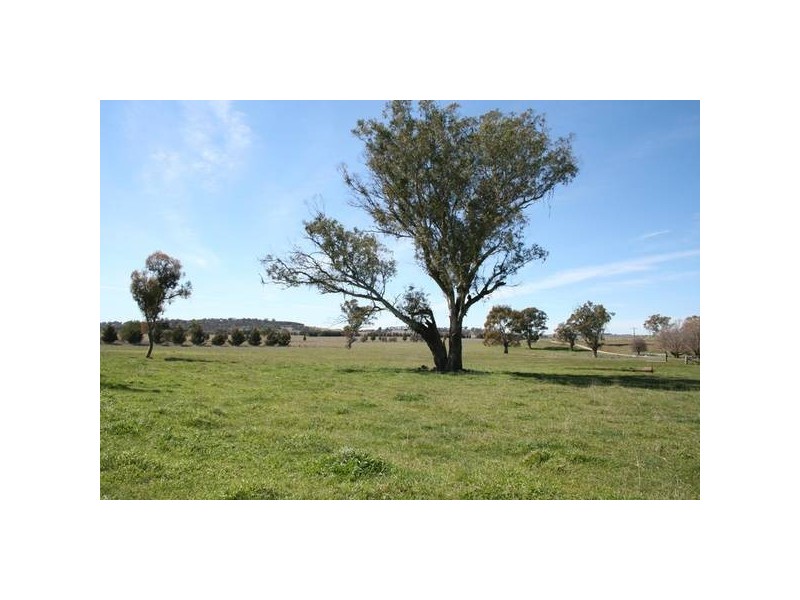 Lot 4 Part Buckinbah, Beaumah Road (Spring Hill), Orange NSW 2800