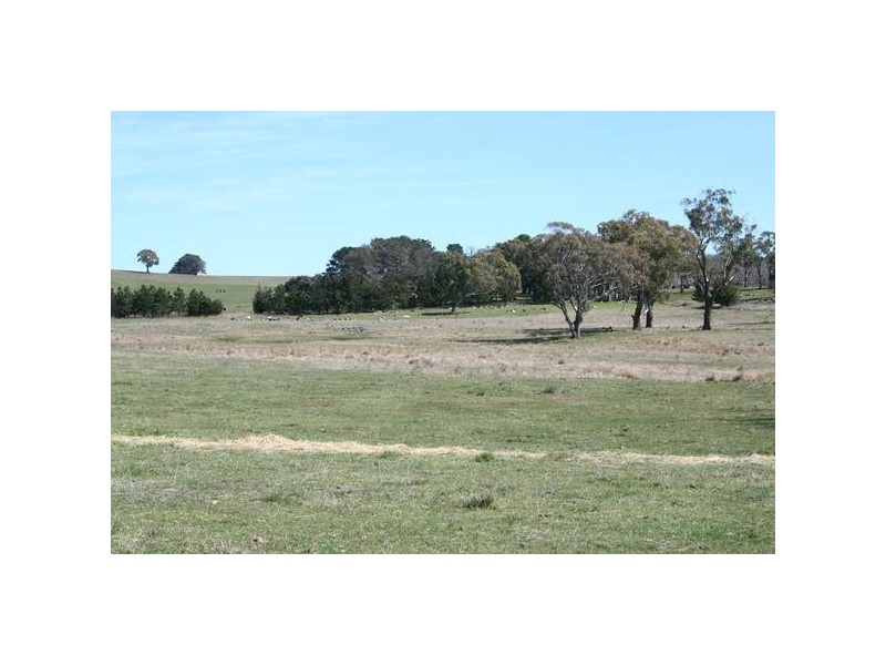 Lot 4 Part Buckinbah, Beaumah Road (Spring Hill), Orange NSW 2800
