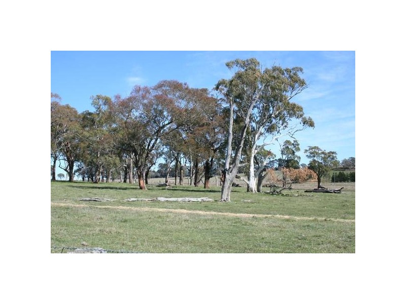 Lot 4 Part Buckinbah, Beaumah Road (Spring Hill), Orange NSW 2800