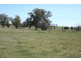 Lot 4 Part Buckinbah, Beaumah Road (Spring Hill), Orange NSW 2800