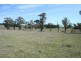 Lot 4 Part Buckinbah, Beaumah Road (Spring Hill), Orange NSW 2800