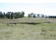 Lot 4 Part Buckinbah, Beaumah Road (Spring Hill), Orange NSW 2800
