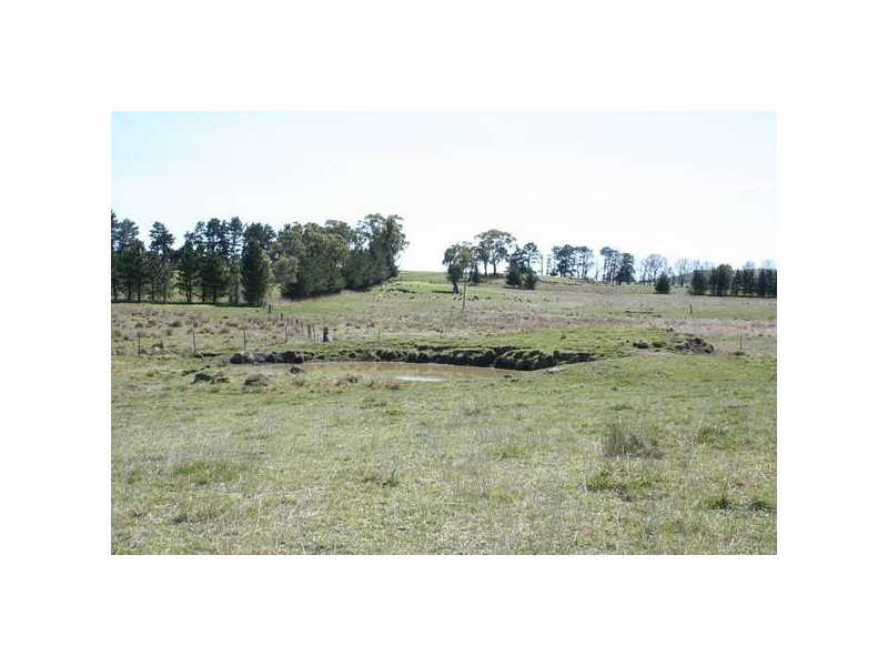 Lot 4 Part Buckinbah, Beaumah Road (Spring Hill), Orange NSW 2800