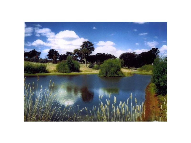 2777 Four Mile Creek Road, Panuara NSW 2800