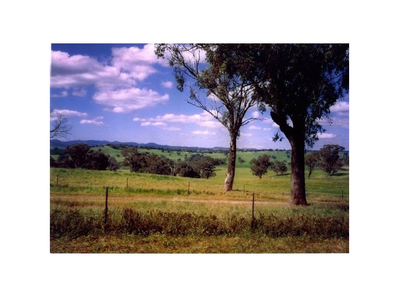 2777 Four Mile Creek Road, Panuara NSW 2800