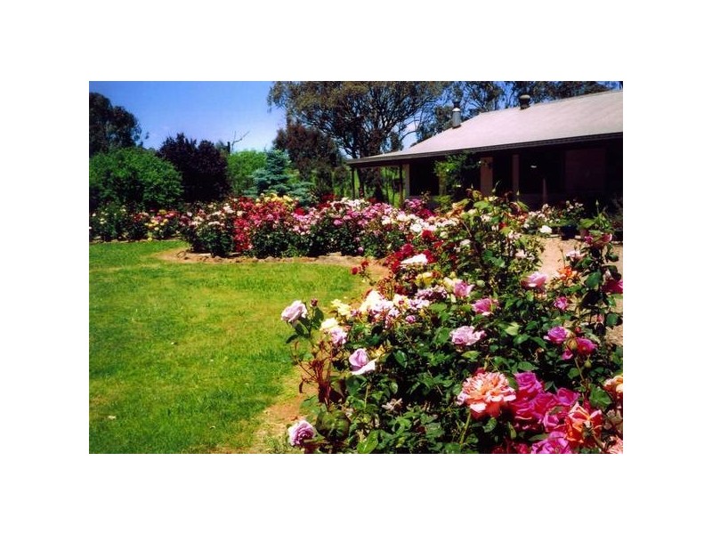 2777 Four Mile Creek Road, Panuara NSW 2800