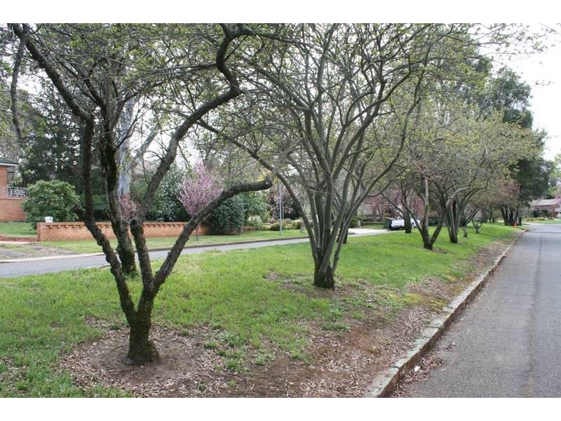 4 Linden Avenue, Orange NSW 2800