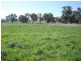 Lot 3 Garra Road, Molong NSW 2866