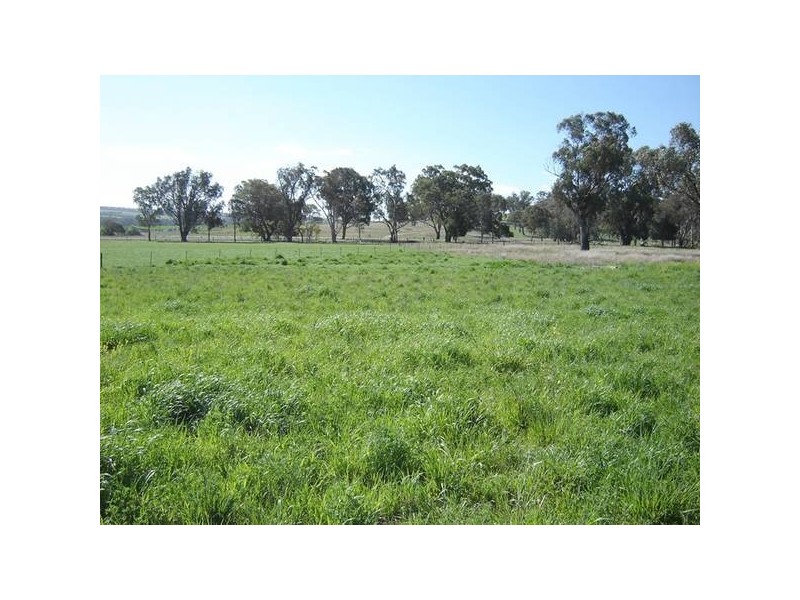 Lot 3 Garra Road, Molong NSW 2866