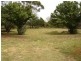 585 Eurimbla Road – Cumnock, Cumnock NSW 2867
