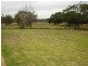 585 Eurimbla Road – Cumnock, Cumnock NSW 2867